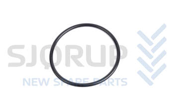 salg af 1051611 - O-Ring - AGCO