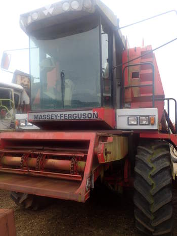 salg af Massey Ferguson 40  Combine / Combine Harvester