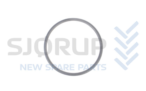 salg af 192300220703 - O-Ring - CNH