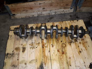 salg af Massey Ferguson 7615  Crankshaft