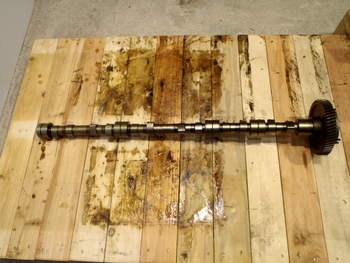 salg af Challenger MT665B  Camshaft