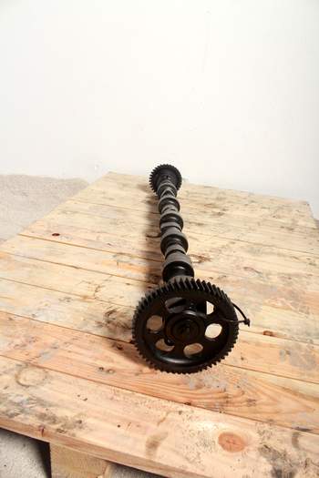 salg af New Holland TM190  Camshaft