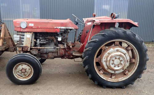 salg af Massey Ferguson 165 tractor