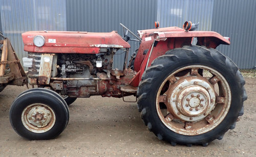 salg af Massey Ferguson 165 traktor