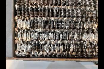 salg af Kondensor Massey Ferguson 7495