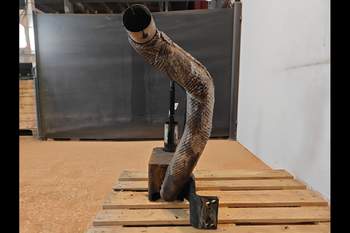 salg af Abgassystem Massey Ferguson 6480 