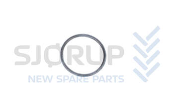 salg af 79101802 - O-Ring - CNH