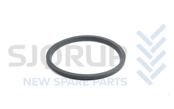 salg af E114386 - O-Ring - CNH