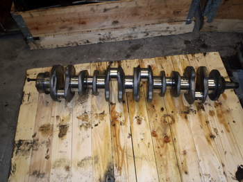 salg af Kurbelwelle Massey Ferguson 7615