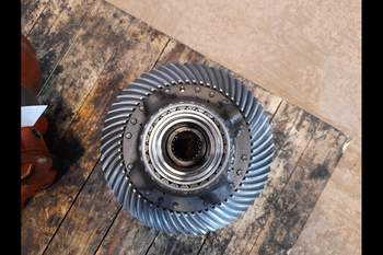salg af Differentiale, Hinterachsen Case CVX195