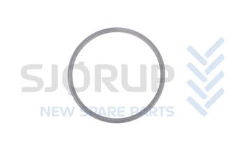 salg af 299629A1 - O-Ring - CNH